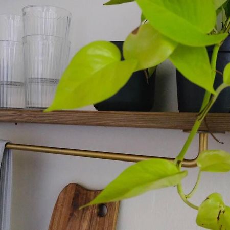 The Little House In Neve Tzedek Apartment เทลอาวีฟ ภายนอก รูปภาพ